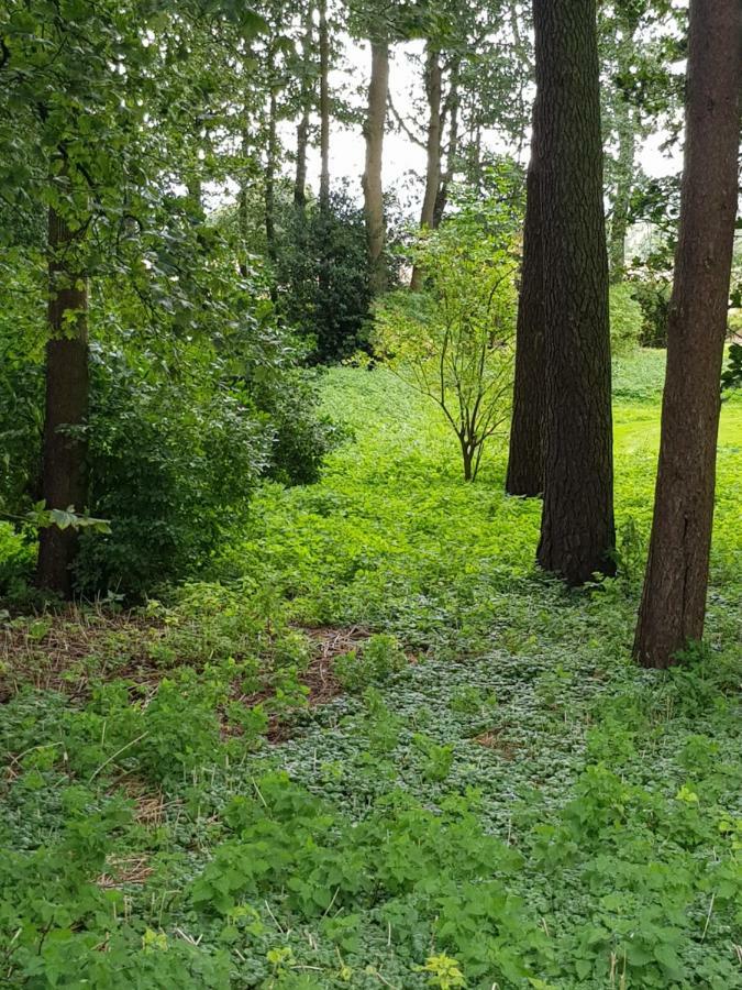 Westwood Cottage 邓迪 外观 照片